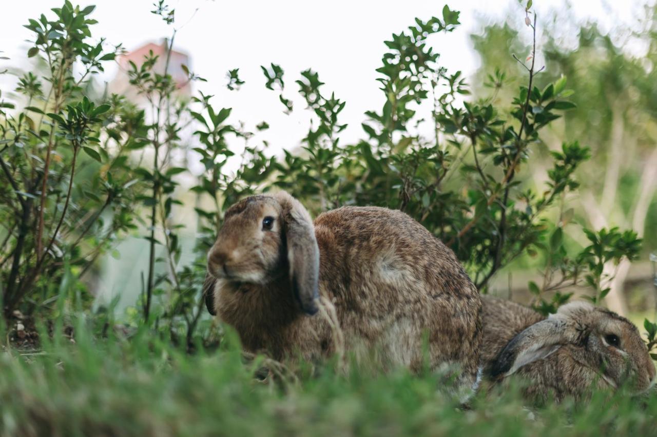 Moinho Das Feteiras Dış mekan fotoğraf